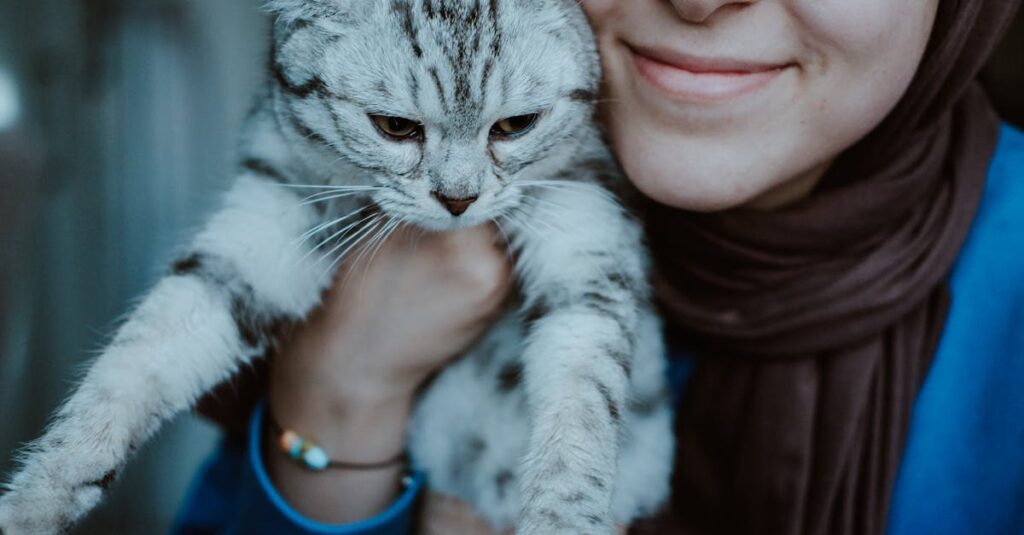 飼い主が老猫を静かに抱きしめ、優しく微笑む穏やかな空気に包まれたラストシーンのイメージ