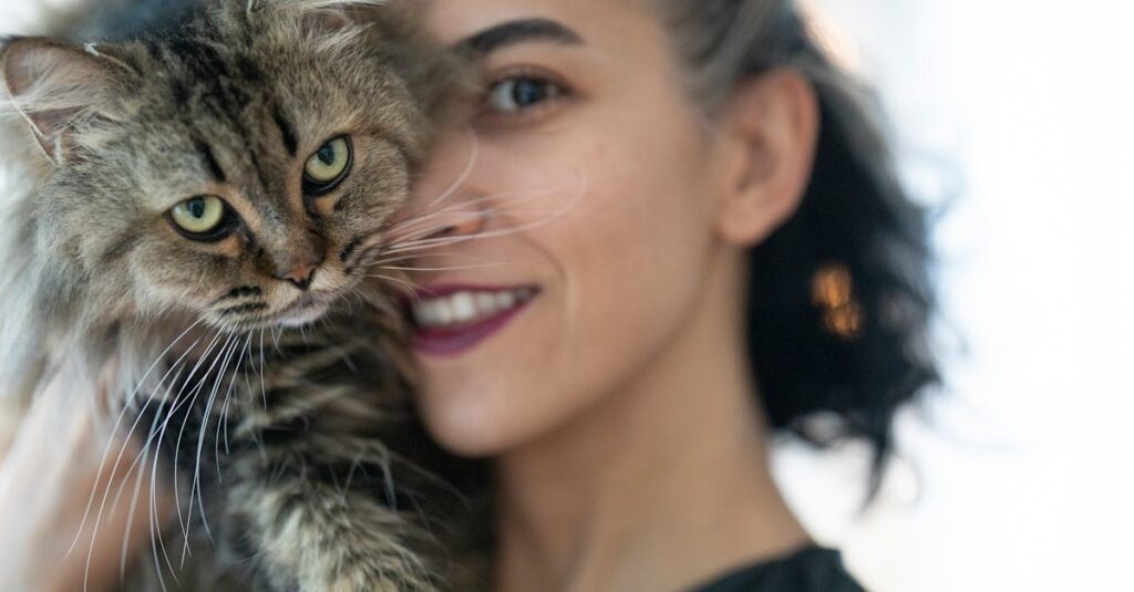 高齢の猫を優しく撫でながら静かに寄り添う飼い主の温かい時間を描いたイメージ