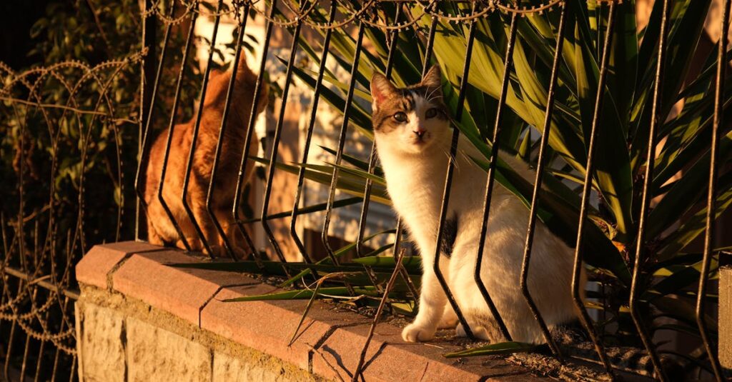 老猫を優しく見送り、静かに微笑む飼い主の穏やかな表情と温かい空気を描いたイメージ