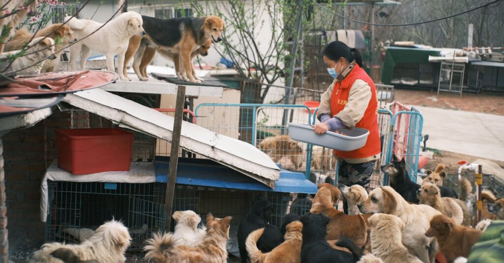 大型犬の訪問火葬サービス。自宅前で見送りを行い、火葬車で穏やかに火葬される様子。