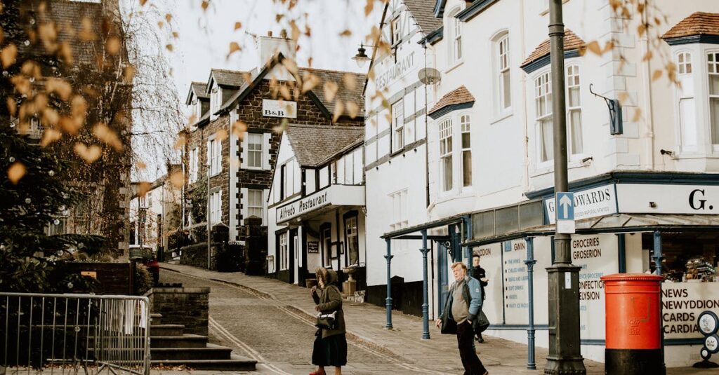 余命が近づいた老猫が静かに横たわっている様子と飼い主のやさしい見守り