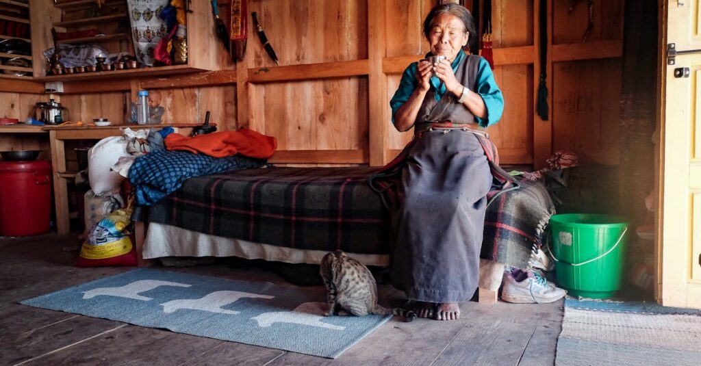 老猫をやさしく抱きかかえ、穏やかに見送りの時間を過ごす飼い主の静かなイメージ