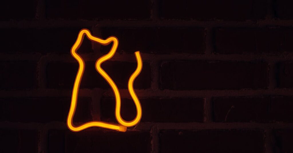 老猫を静かに見送りながら手を合わせる飼い主の穏やかな姿、夜明け前の優しい光に包まれた場面