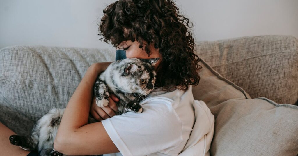 飼い主が老猫を静かに抱きしめ、優しく微笑む穏やかな空気に包まれたラストシーンのイメージ