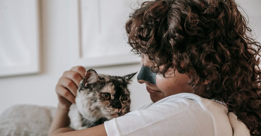 飼い主が老猫を静かに抱きしめ、優しく微笑む穏やかな空気に包まれたラストシーンのイメージ