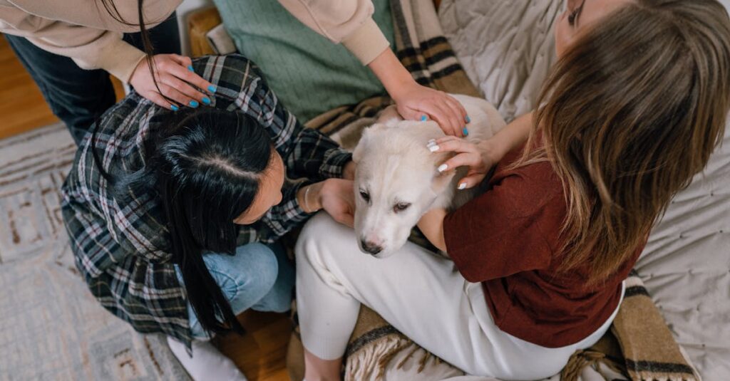 ペットが亡くなった直後の安置と準備のイメージ。静かな部屋で大切に包まれた小さな体。