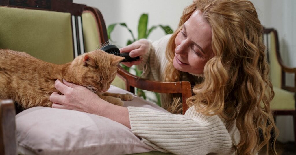 高齢の猫を優しく撫でながら静かに寄り添う飼い主の温かい時間を描いたイメージ