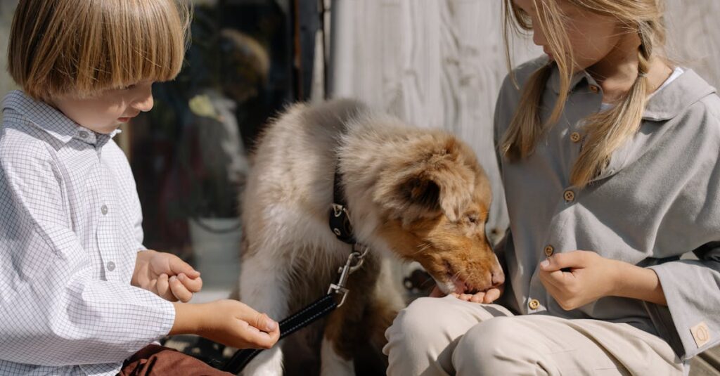 ペット供養品の並んだ棚。骨壷、位牌、フォトフレーム、遺骨アクセサリーが温かい雰囲気でディスプレイされている。