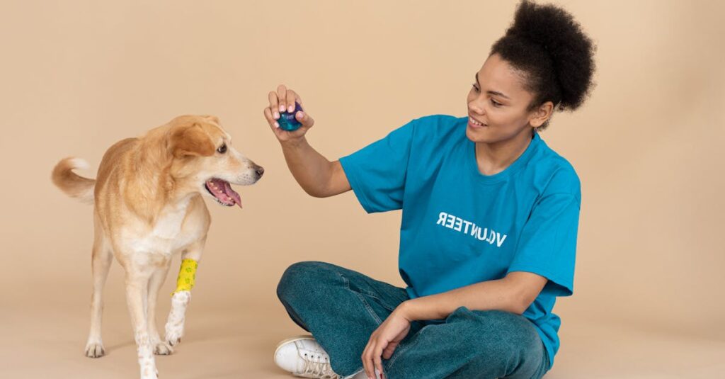 信頼できるペット火葬業者を見分けるために、費用説明や対応の丁寧さ、口コミを比較している飼い主の様子。