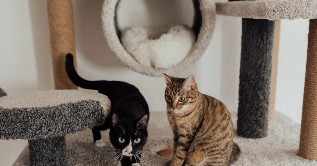 家族が猫の遺影に花を添えながら微笑み、静かに供養している優しい空間のイメージ