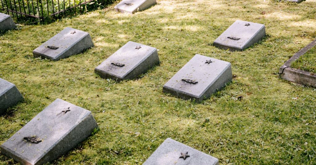 ペット霊園と自宅供養の違いを比較した図。費用・手間・自由度などの項目を表形式で示している。