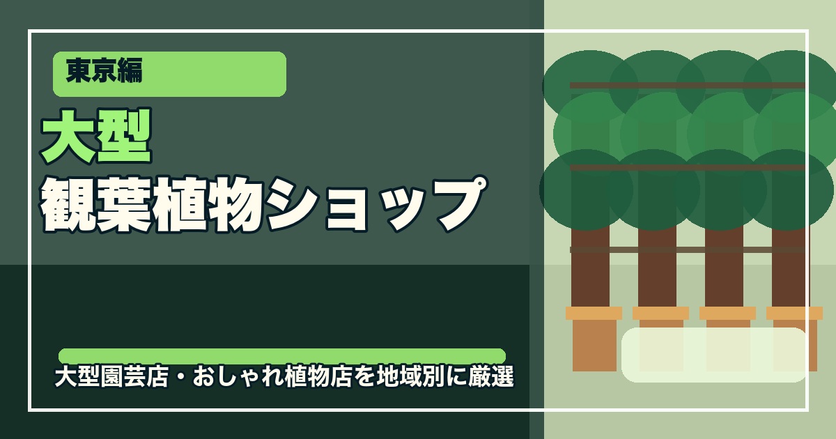 東京の大型観葉植物ショップ10選のアイキャッチ画像